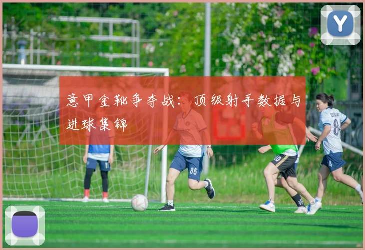 意甲金靴争夺战:顶级射手数据与进球集锦